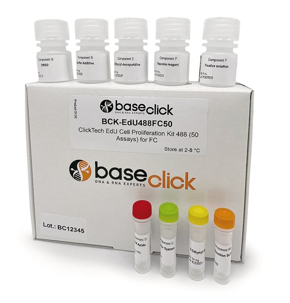 1Y7L.1, Baseclick