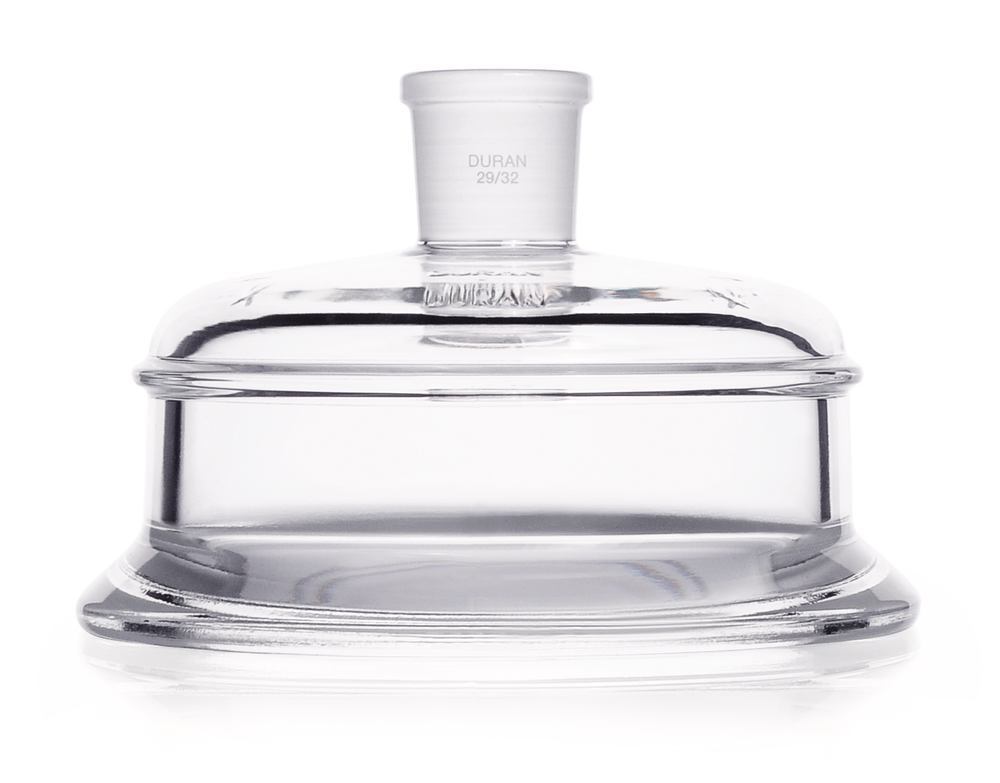 1YYA.1, Dwk Life Sciences