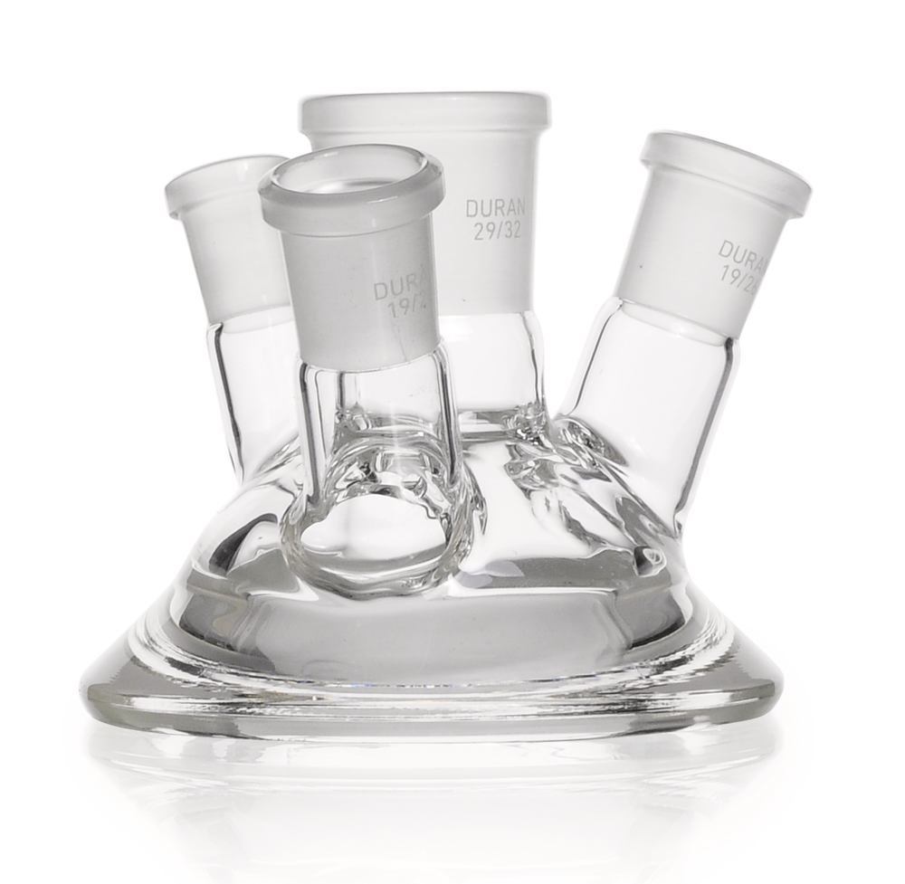 1YYE.1, Dwk Life Sciences