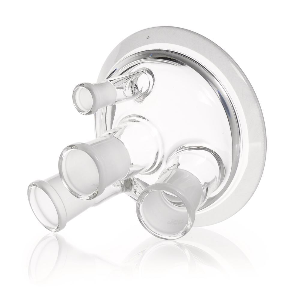 1YYH.1, Dwk Life Sciences