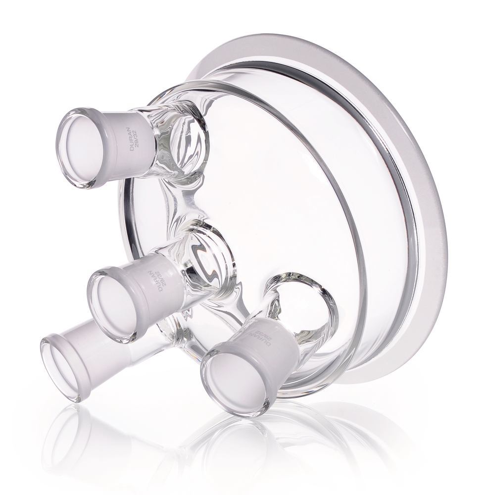 1YYL.1, Dwk Life Sciences