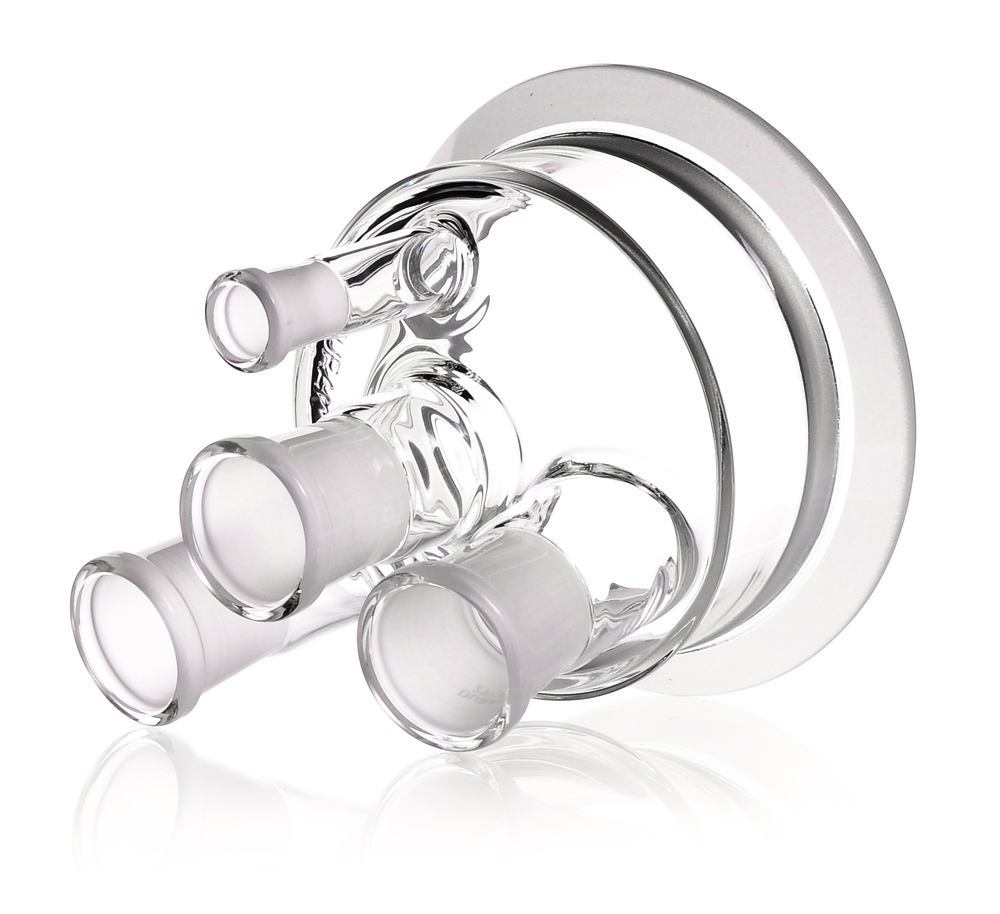 1YYT.1, Dwk Life Sciences