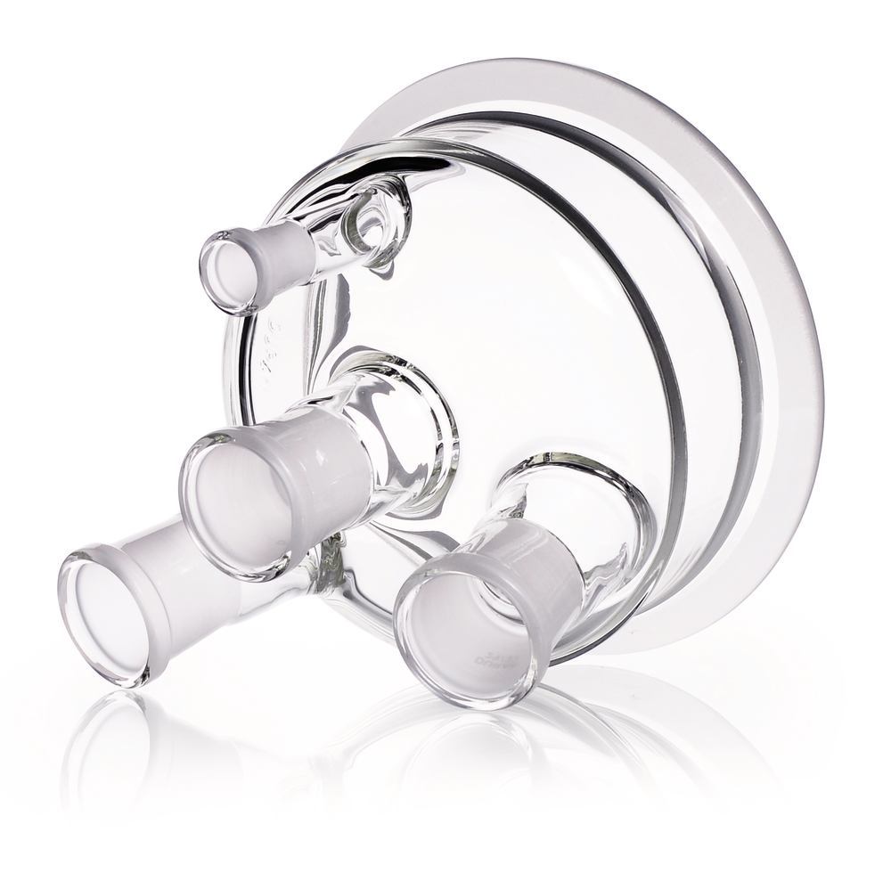 1YYX.1, Dwk Life Sciences