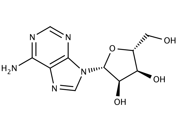 20213653, Molekula