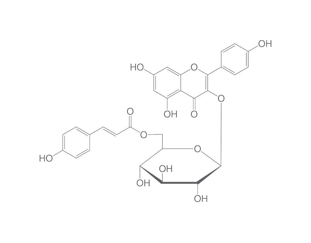 20316-62-5, Carl Roth