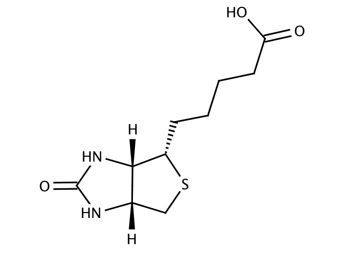 20337504, Molekula