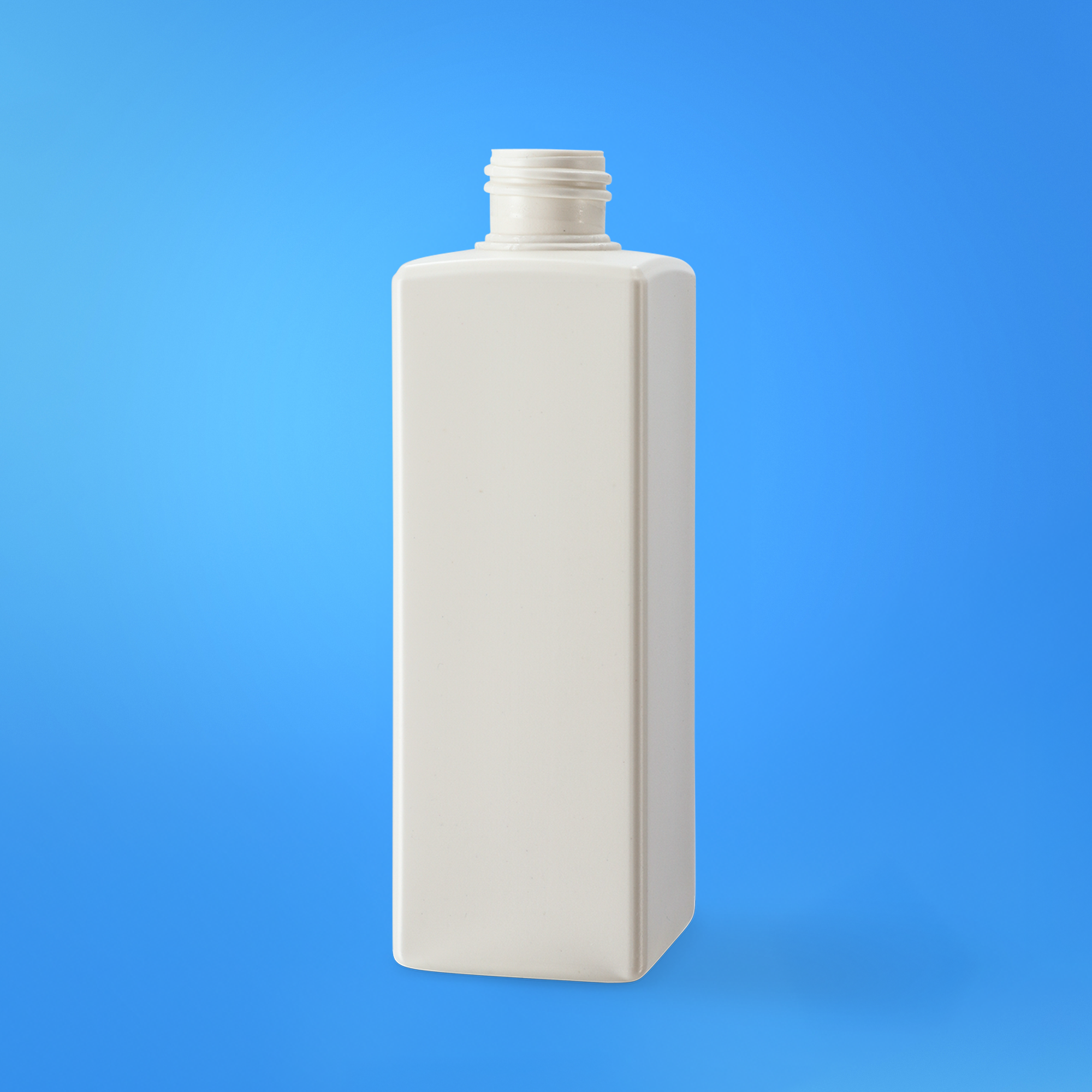 22-4001-0250-24/410, Rixius