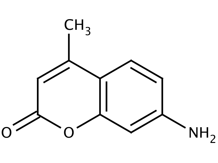 22061681, Molekula