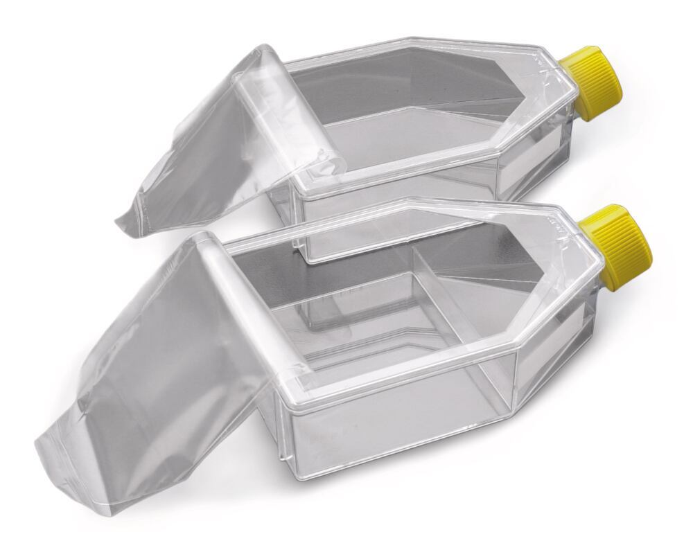 22YM.1, Tpp Techno Plastic Products
