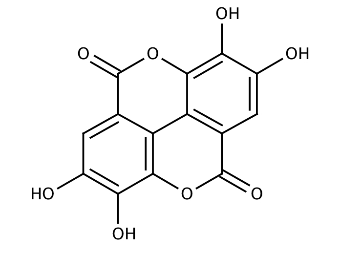 23304412, Molekula