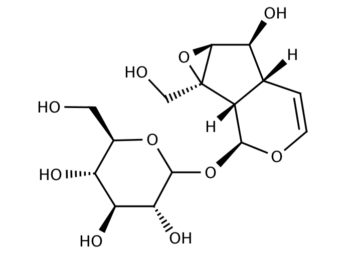 23606391, Molekula