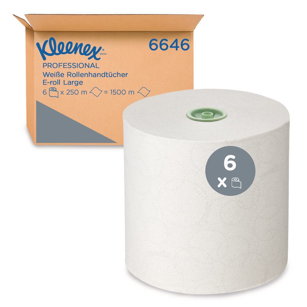 23C1.1, Kimberly-Clark