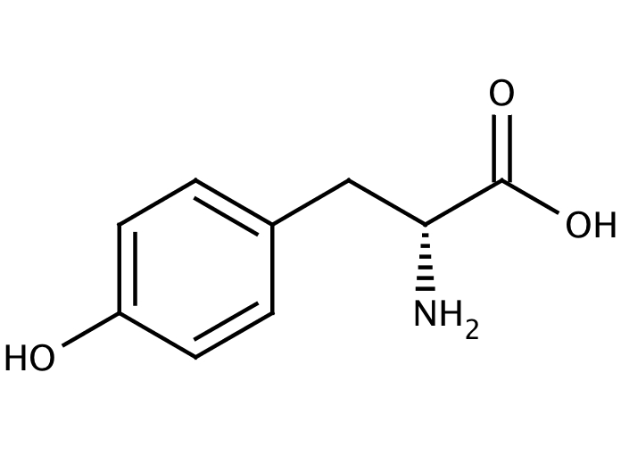 24156427, Molekula
