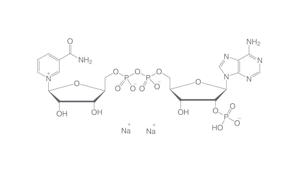 Coenzymes