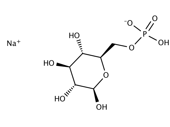 24336856, Molekula