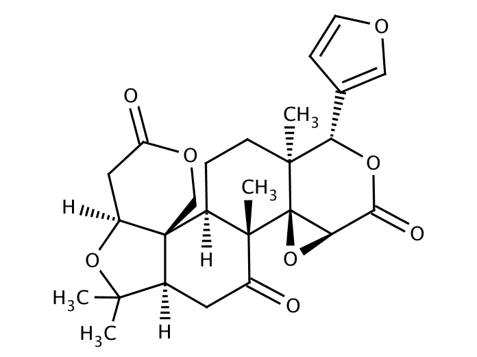24406022, Molekula