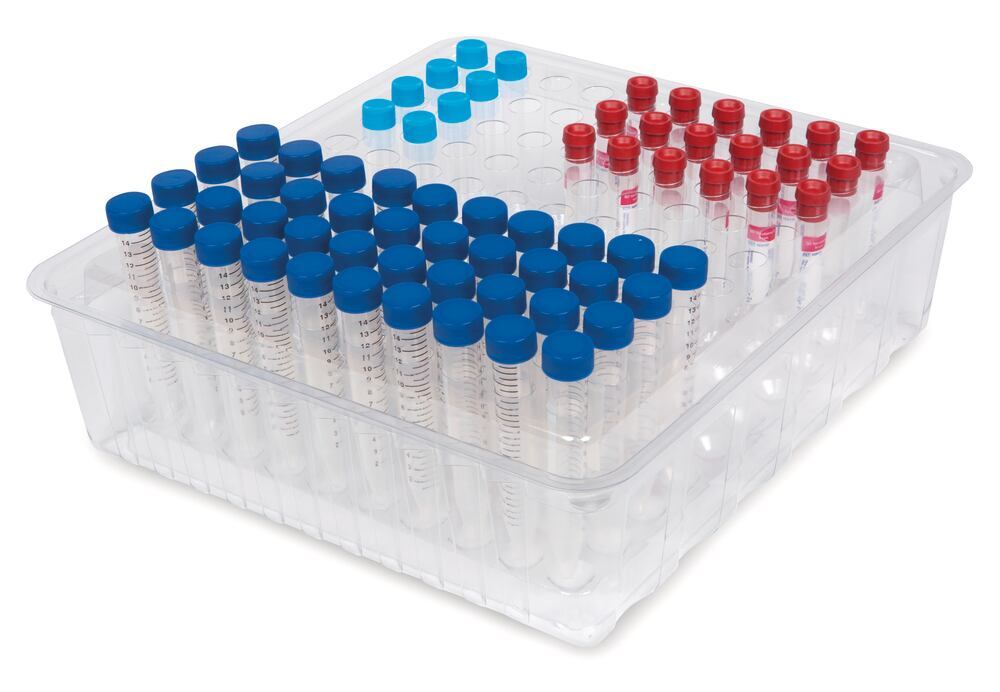 252P.1, Roth Selection