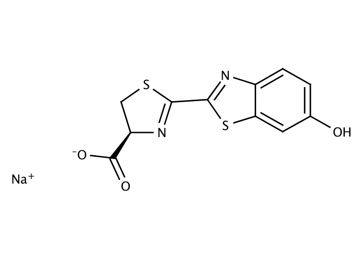 25302670, Molekula