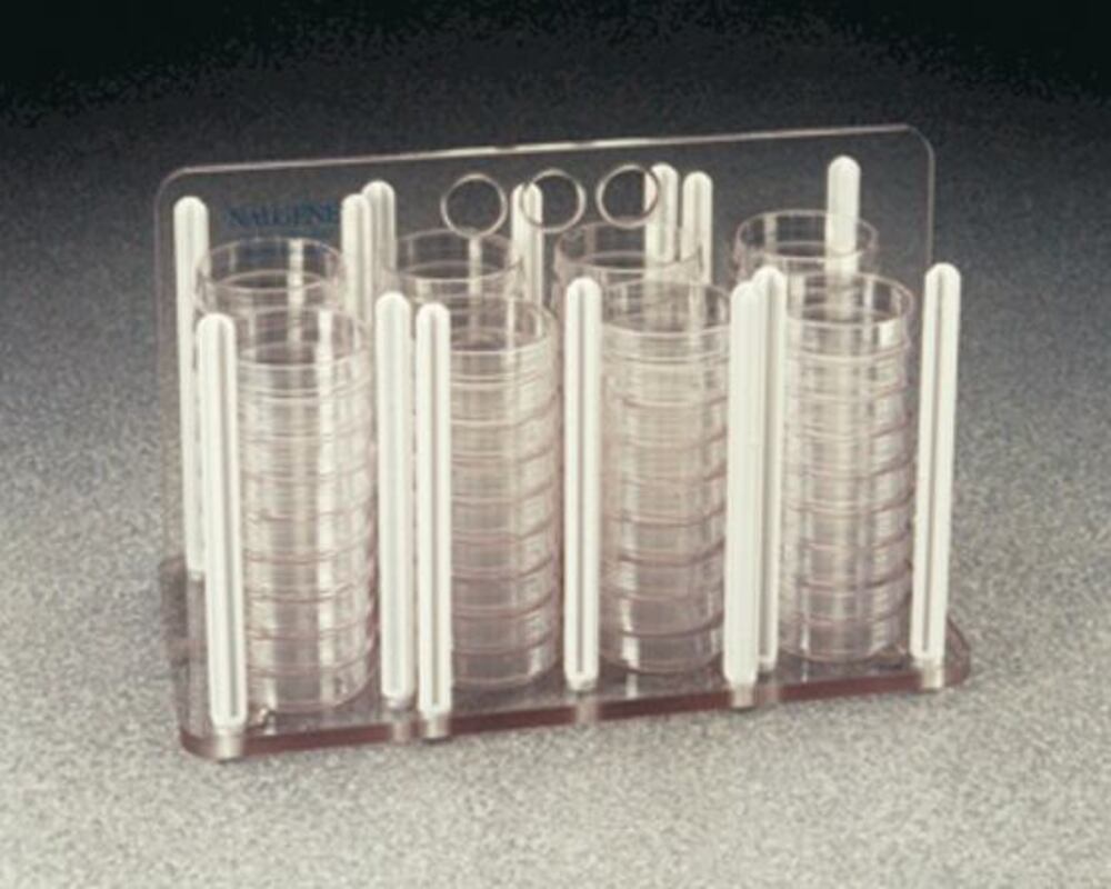 25W8.1, Nalgene