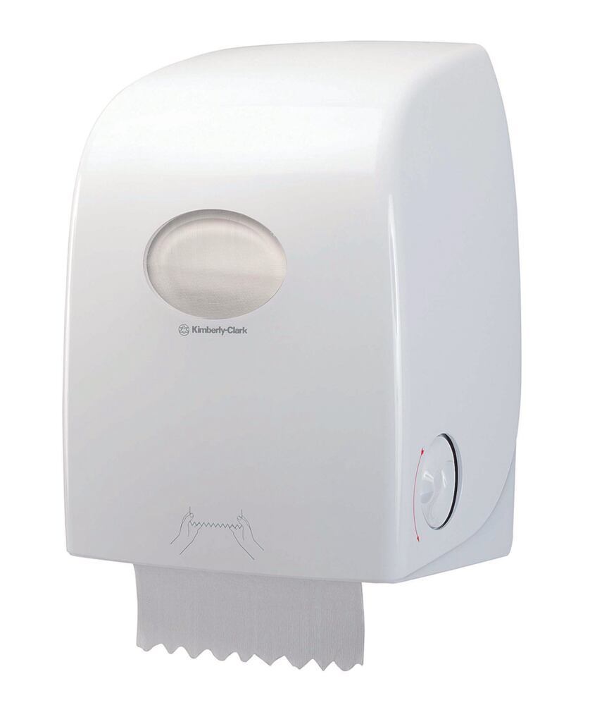 25Y1.1, Kimberly-Clark