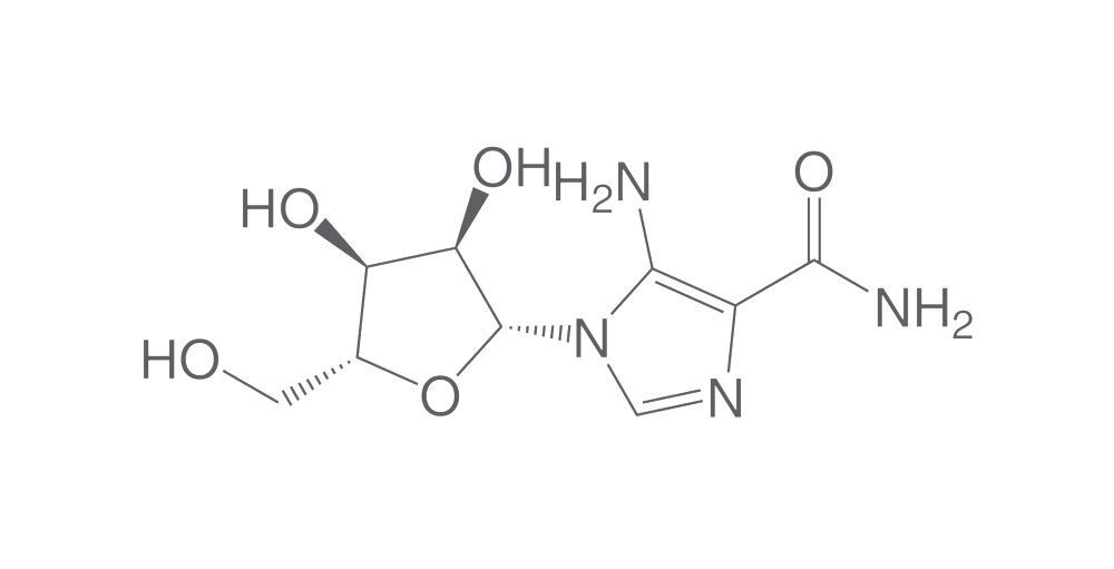 5-Aminoimidazole-4-carboxamide-1-b-D-ribofuranose, 5 g