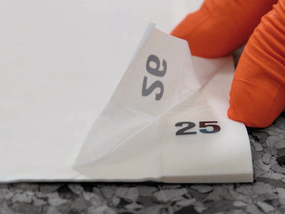 262N.1, Hein-Reinraum