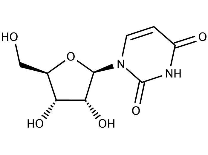 26362922, Molekula