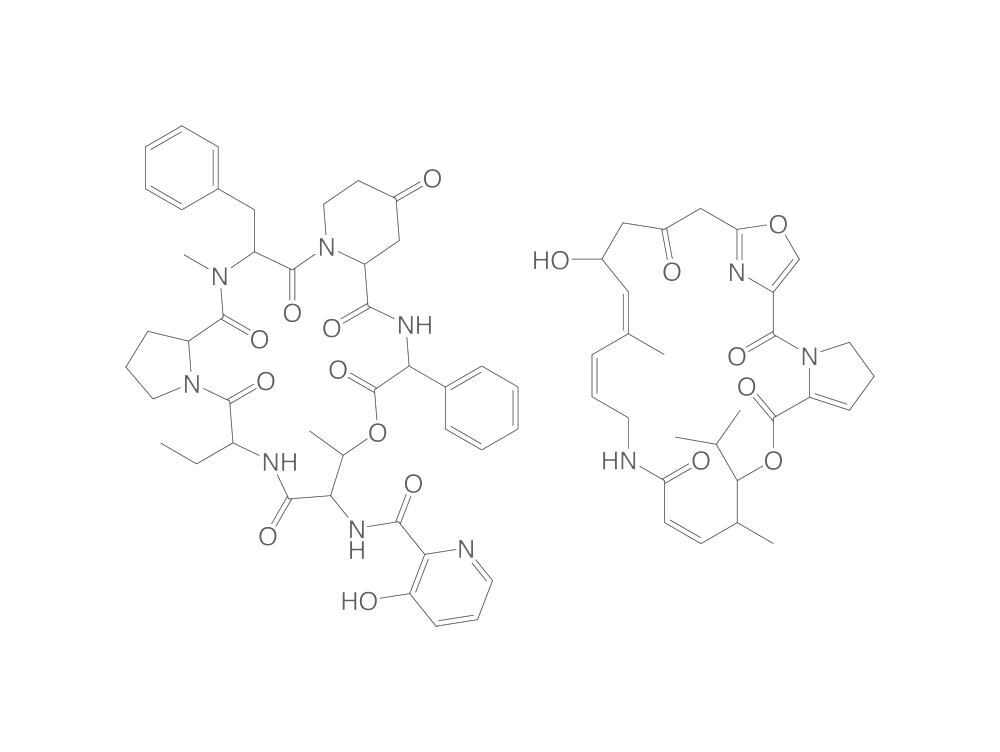 270076-60-3, Carl Roth