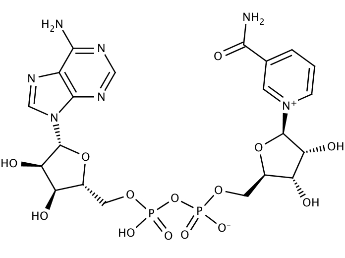 27828376, Molekula