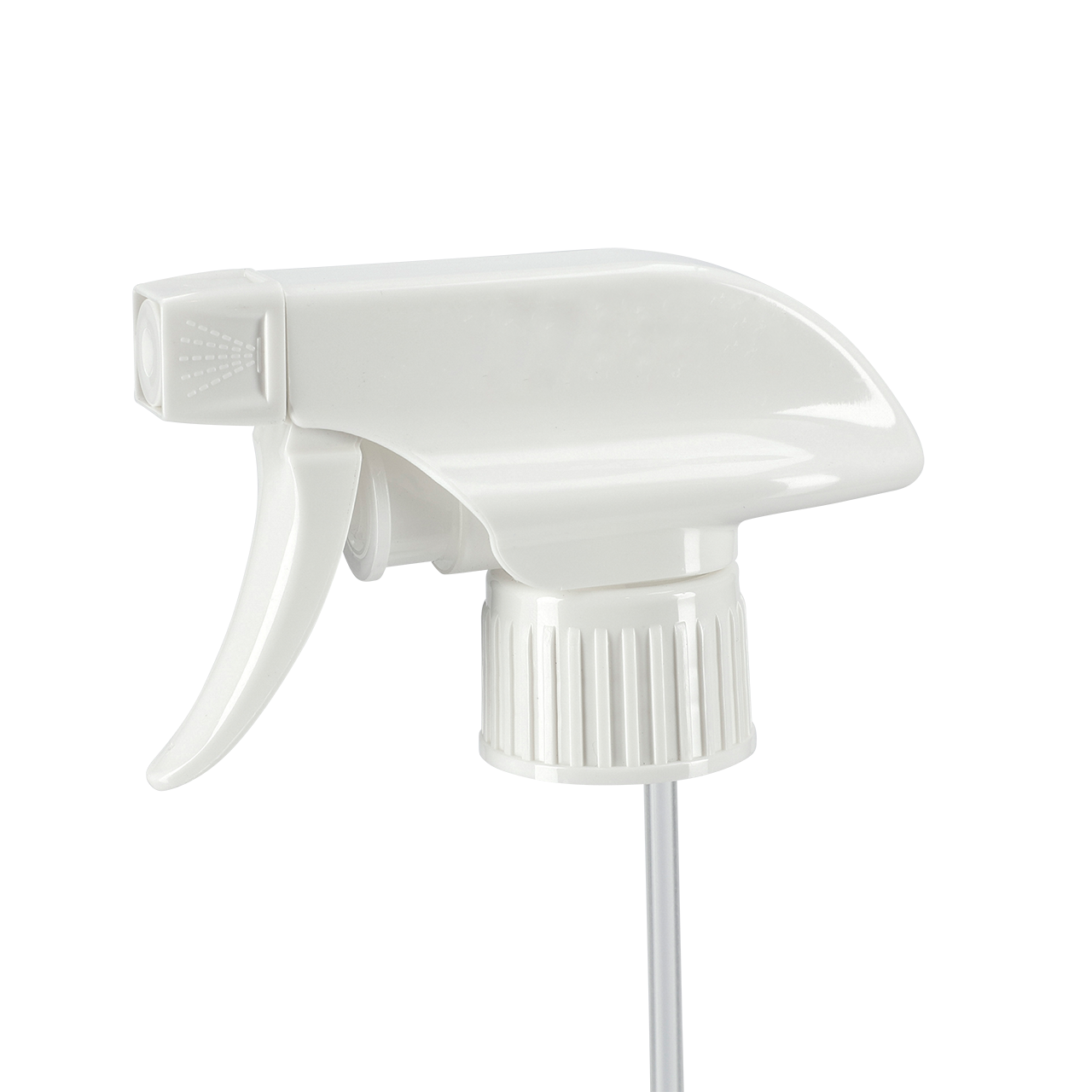 28-3295-28/410-W, Rixius