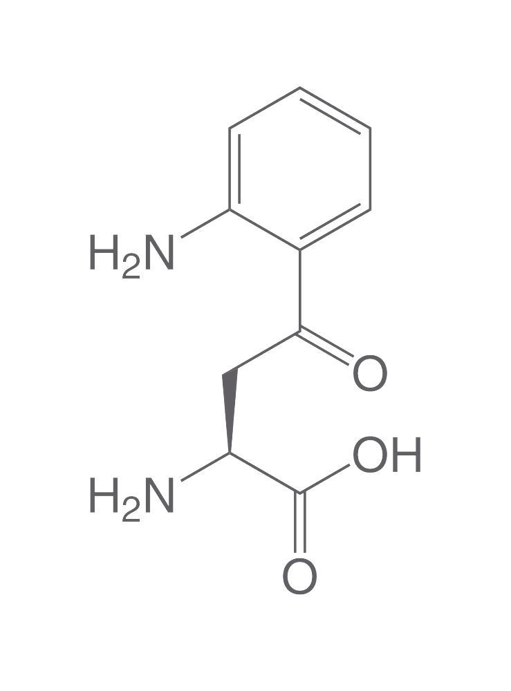 L-Kynurenine, 100 mg