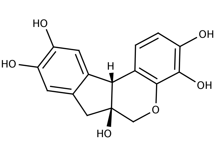 29628570, Molekula