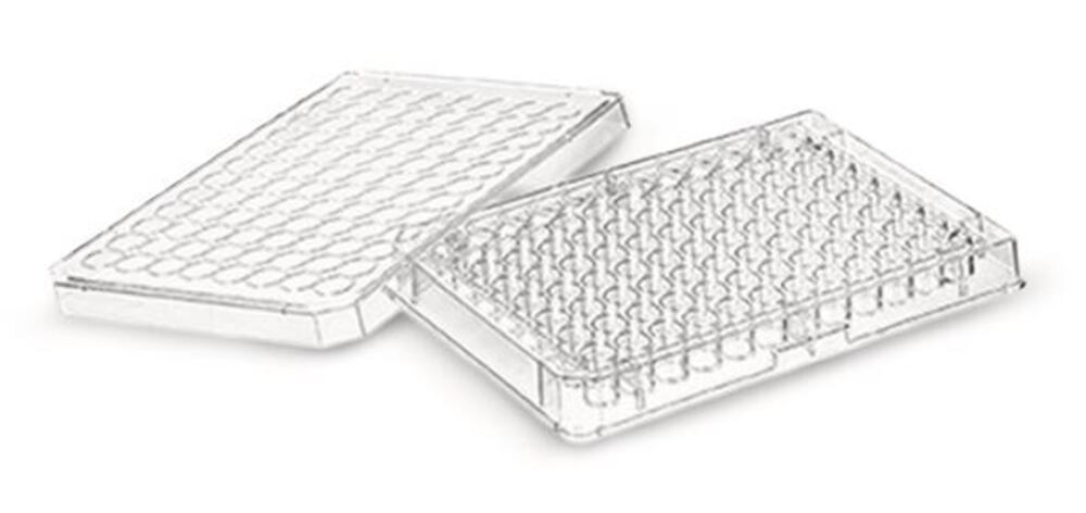 29U3.1, Greiner Bio-One
