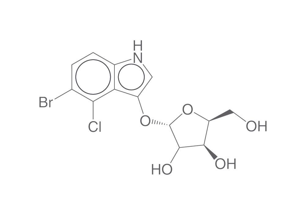2C2K.4, Carl Roth