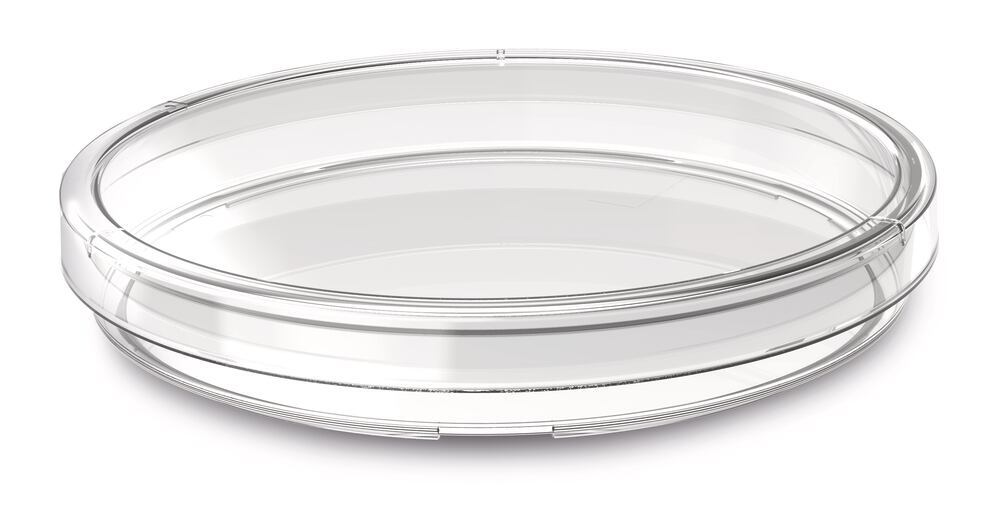 2KP0.1, Ahn Biotechnologie