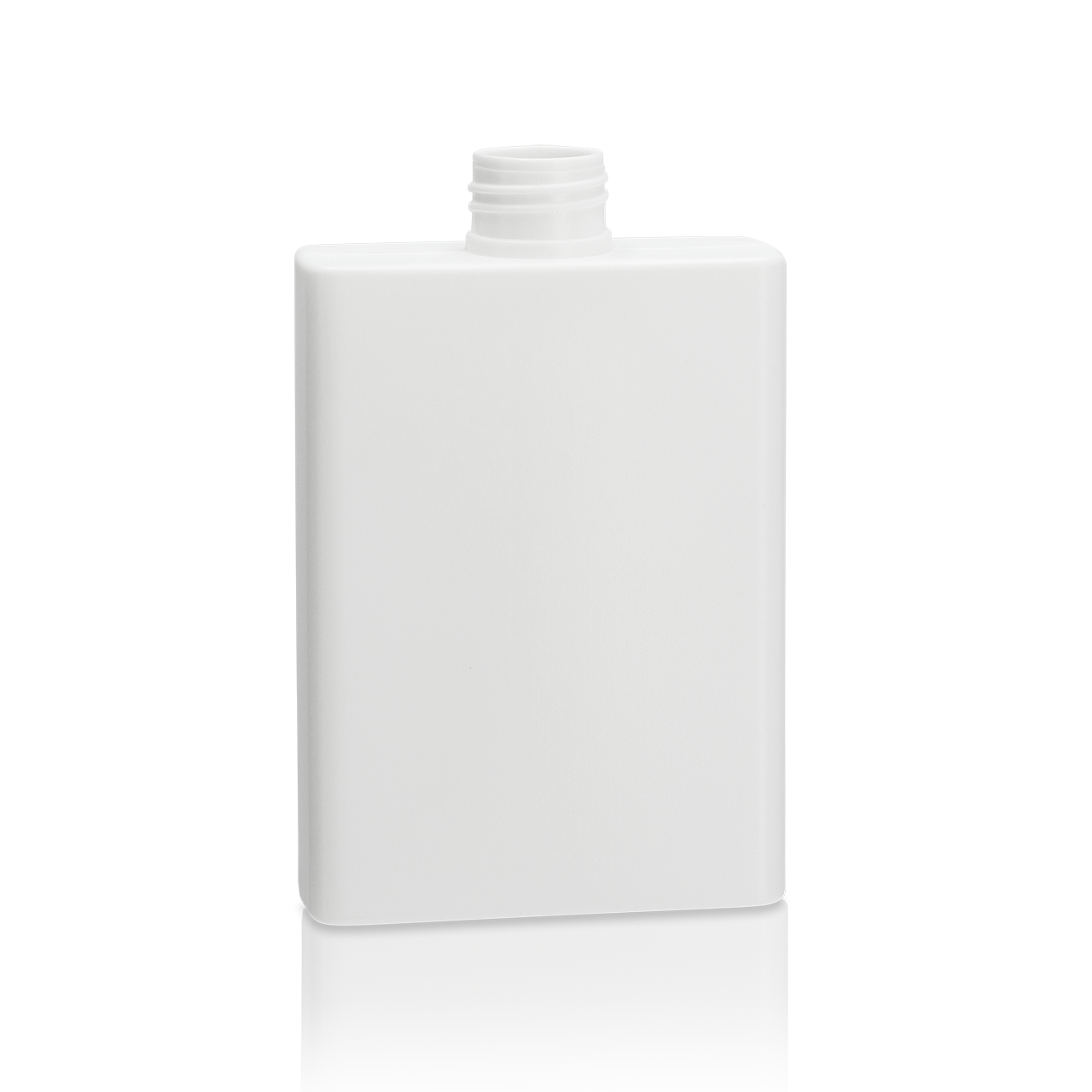 3-3101-0250-24/410, Rixius