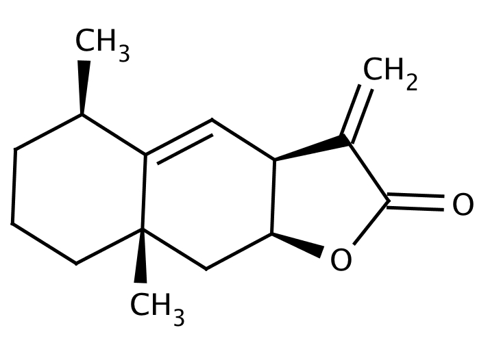 30281995, Molekula