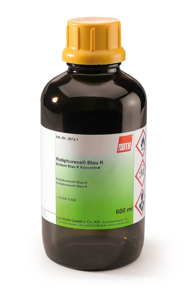 Staining of Protein Gels