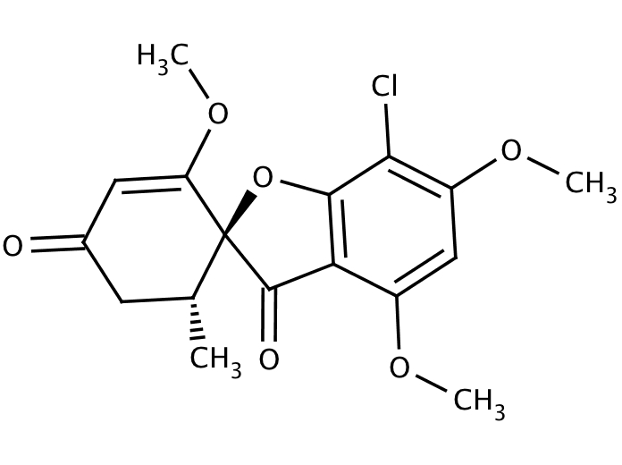 33353320, Molekula