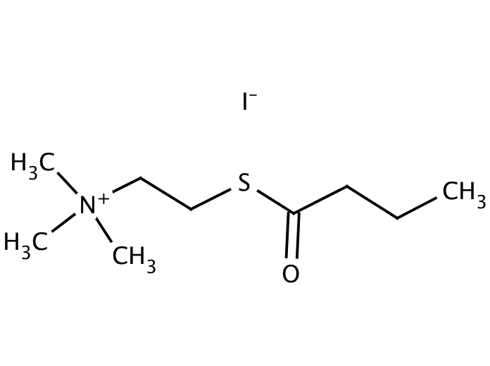 34904481, Molekula
