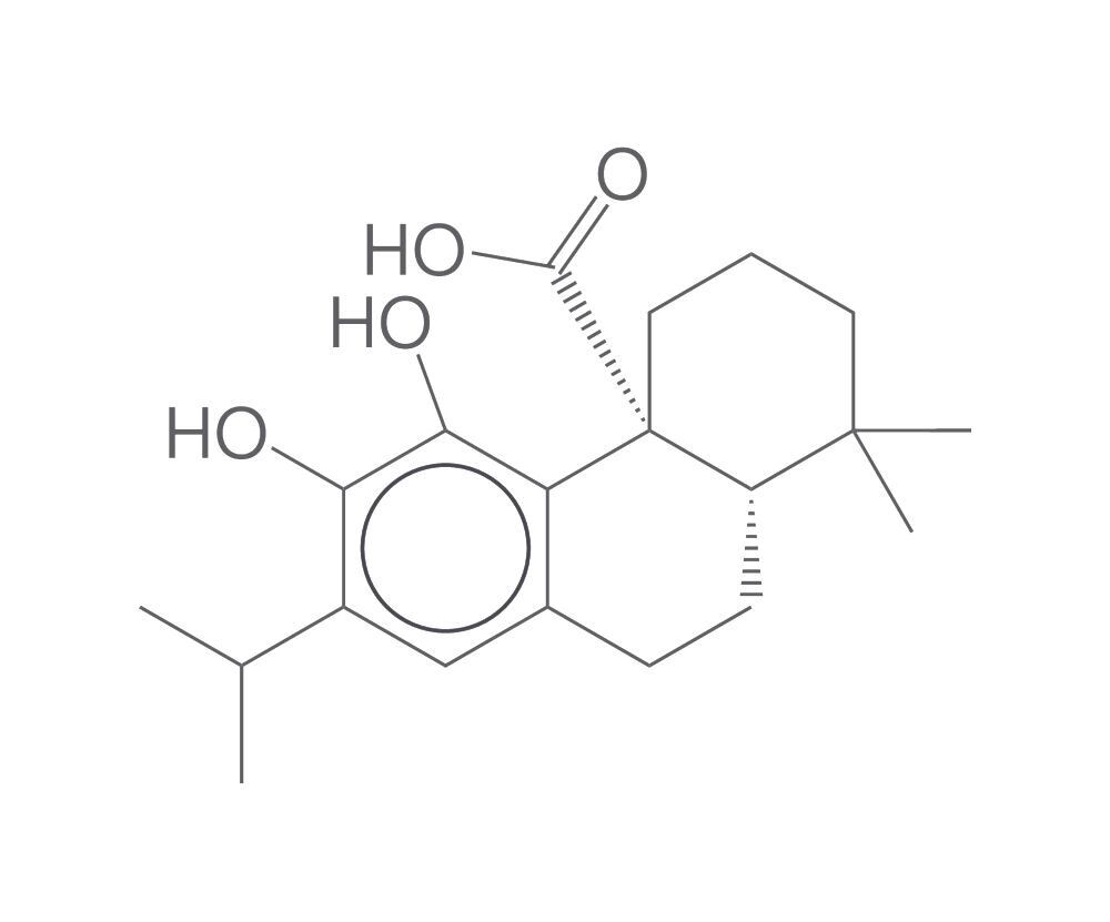 Carnosic acid, 500 mg
