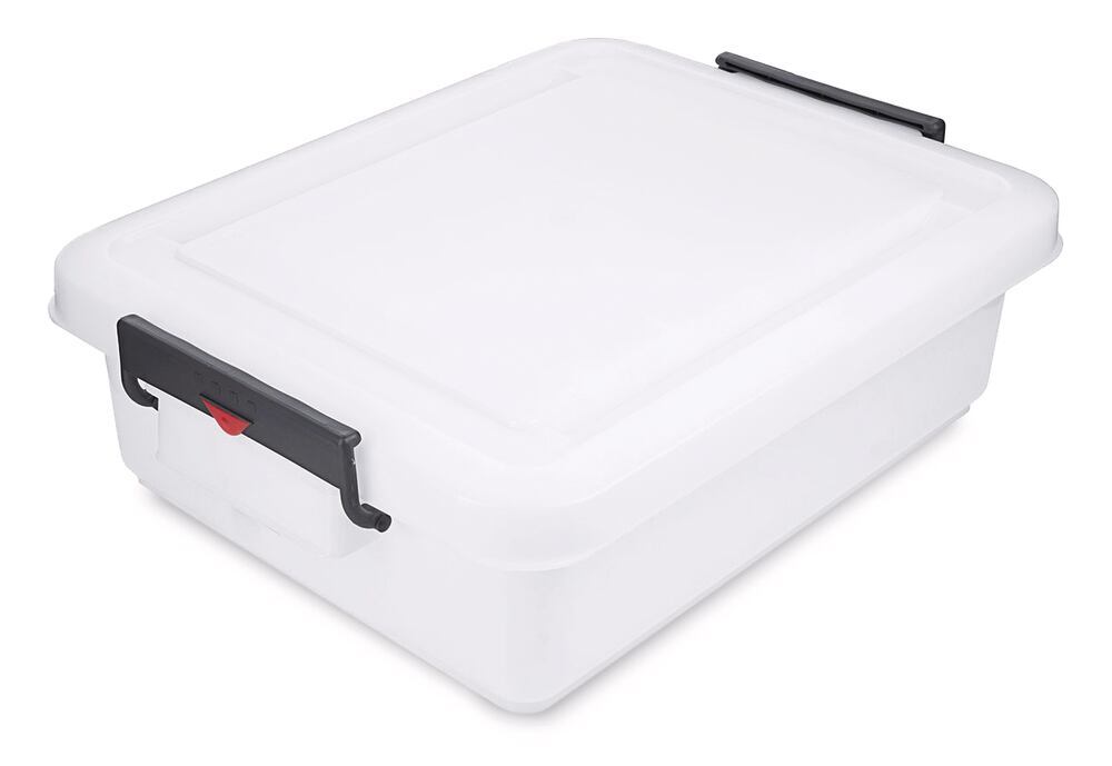 38H0.1, Roth Selection