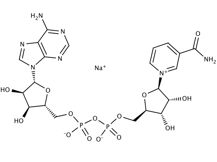 39483402, Molekula