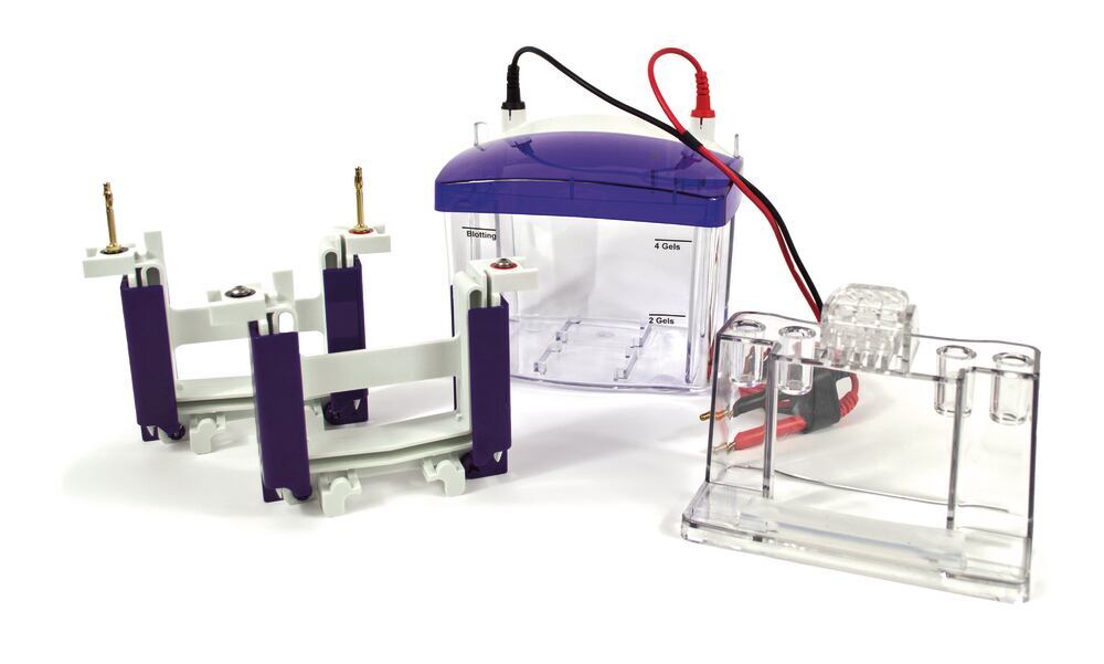 Electrophoresis chambers