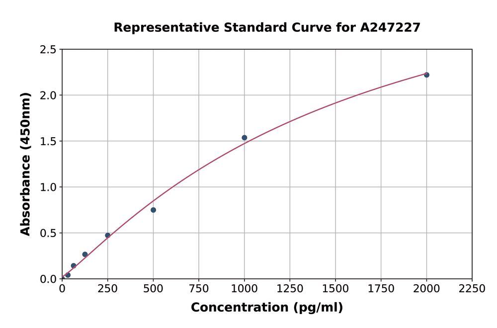 3AE4.1, Antibodies.Com