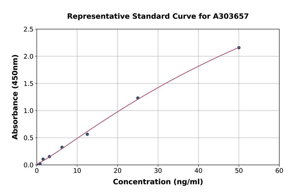 3AEK.1, Antibodies.Com