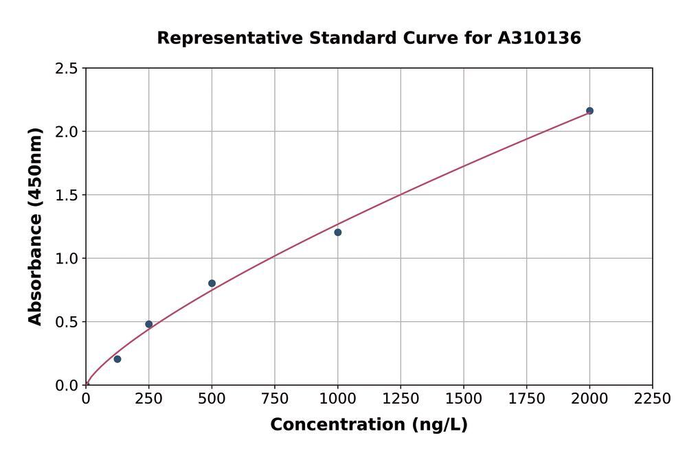3AET.1, Antibodies.Com