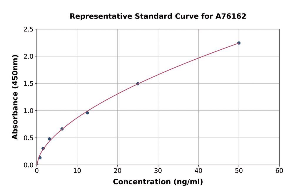 3ANL.1, Antibodies.Com