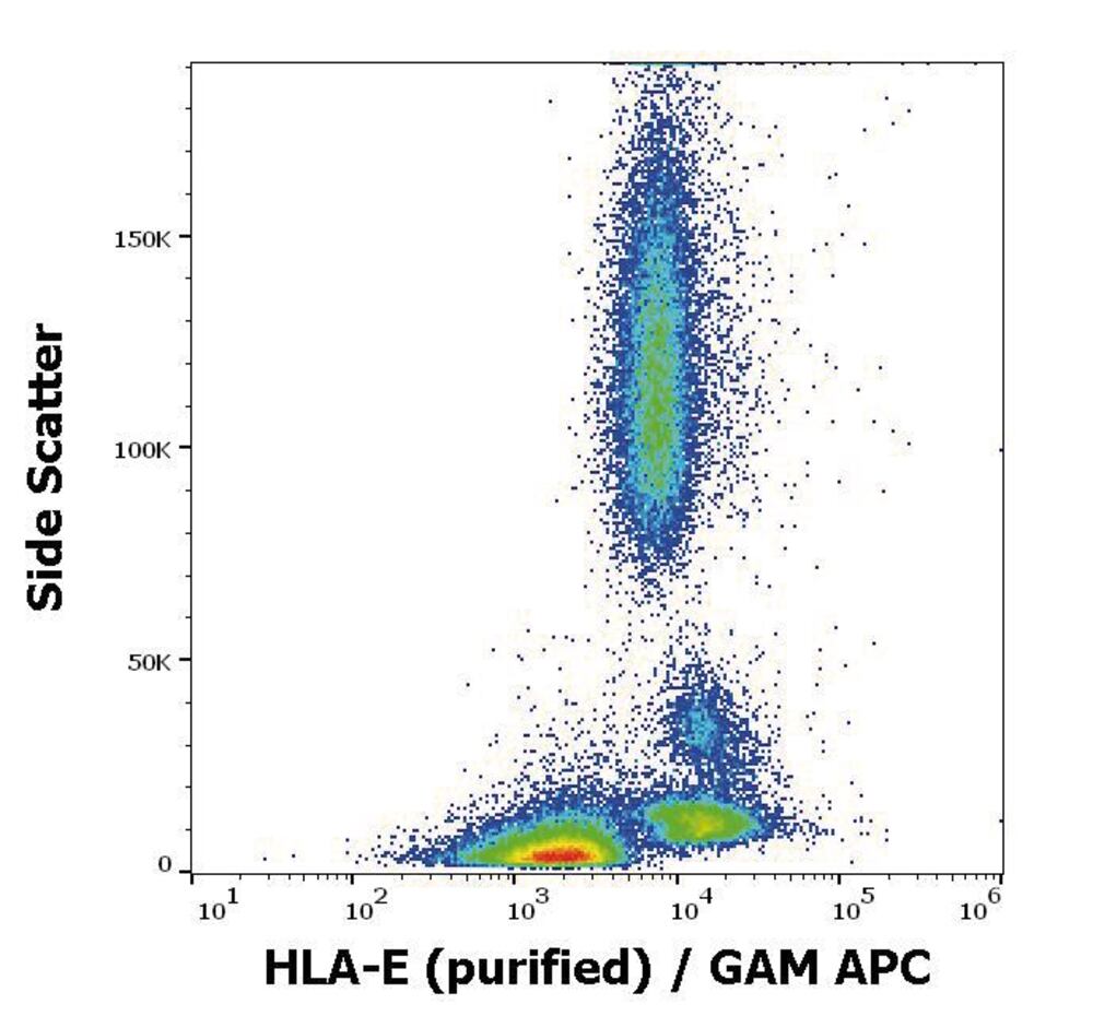 3C58.1, Antibodies.Com