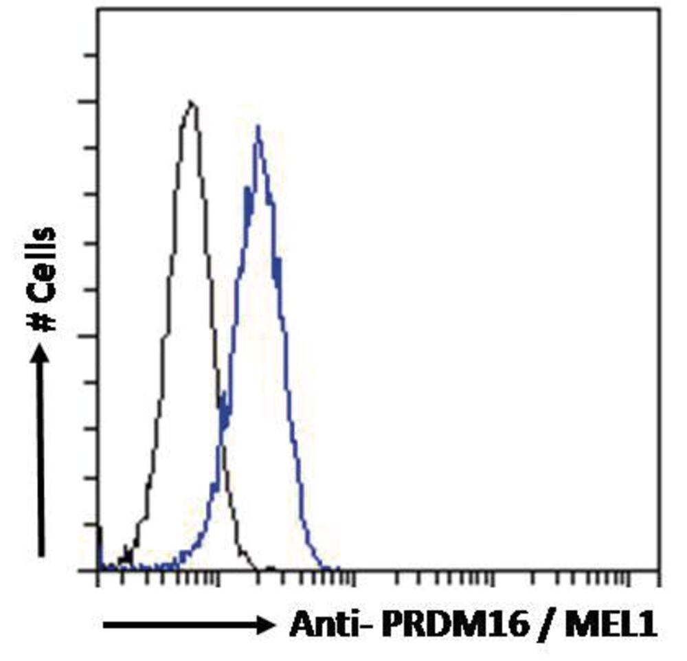 3CX0.1, Antibodies.Com